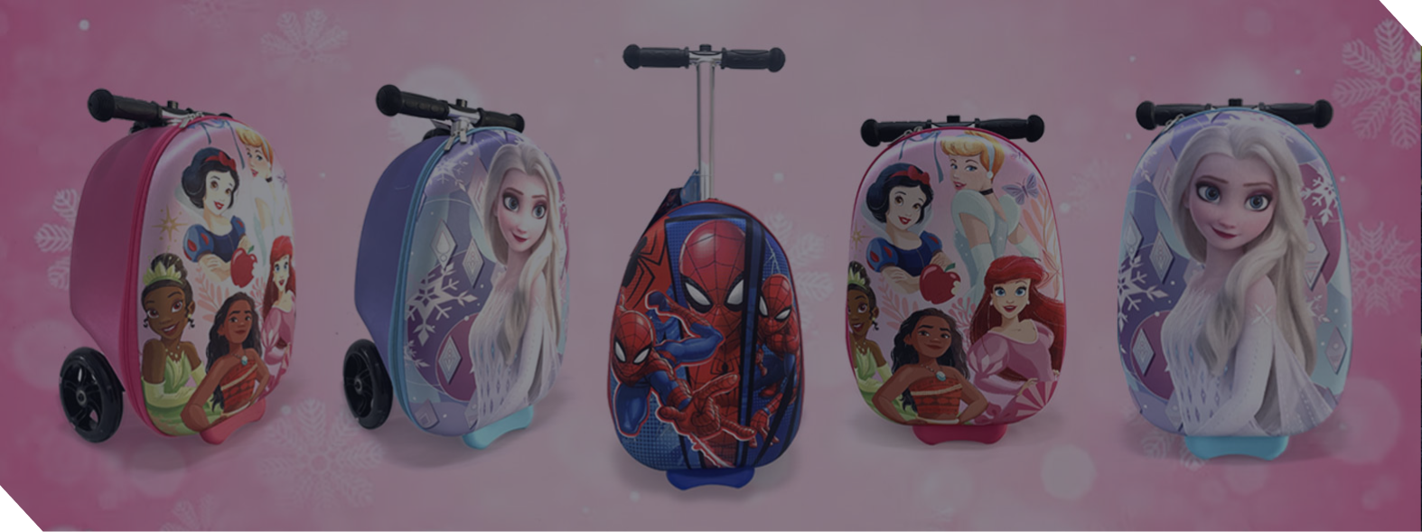 Scooter Luggage