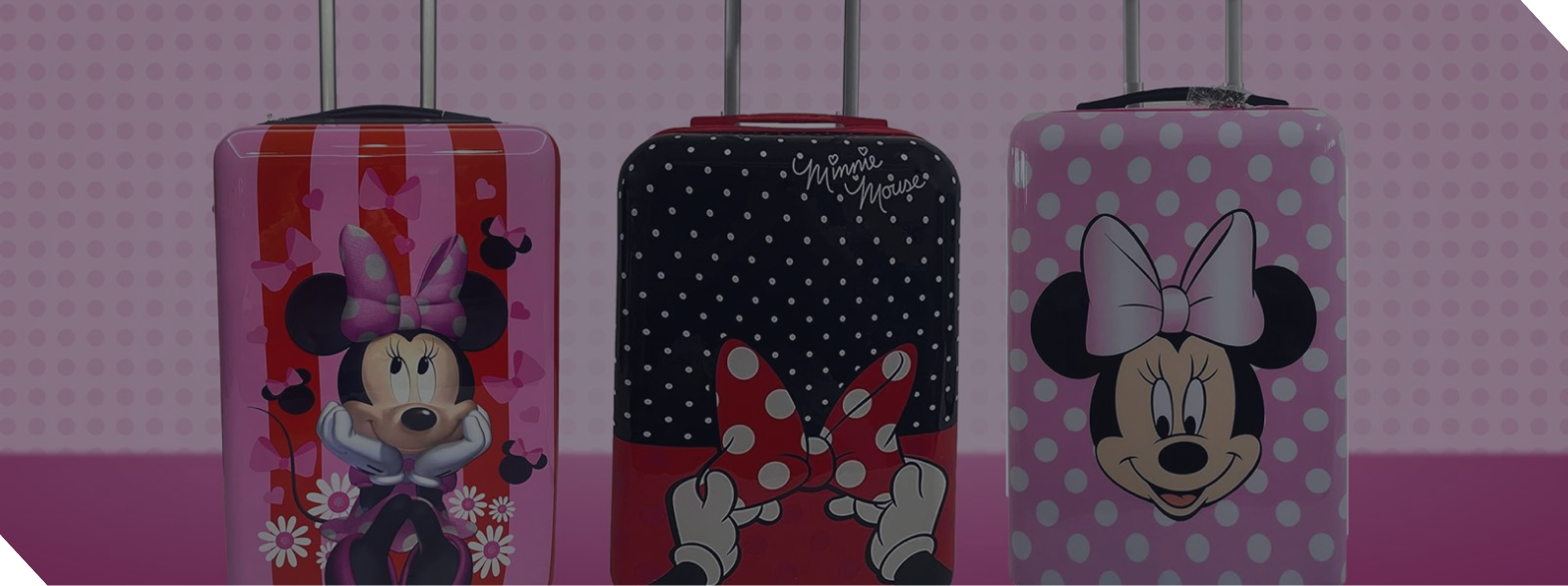 Luggage