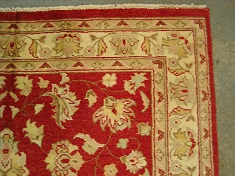Gorgeous Rare Chobi Zeigler Mahal Vegetable Dyed Area Rugs Hand Knotted Carpet (8.1 x 5.7)'