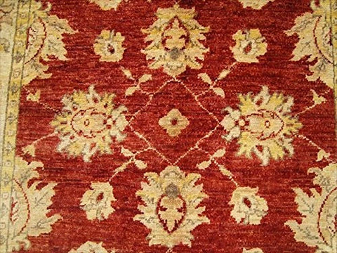 AHMEDANI Gorgeous Red Chobi Zeigler Mahal Vege Dyed Area Rugs Hand Knotted Carpet (4.11 X 3.3)'