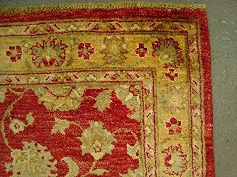 Exclusive Chobi Mahal Zeigler Vege Dyed Rare Area Rug Hand Knotted Carpet (6.1 x 4.1)'