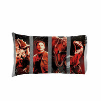 Kids Pillowcase Standard Size - 20 x 30 Inch [1 Piece Pillowcase Only]